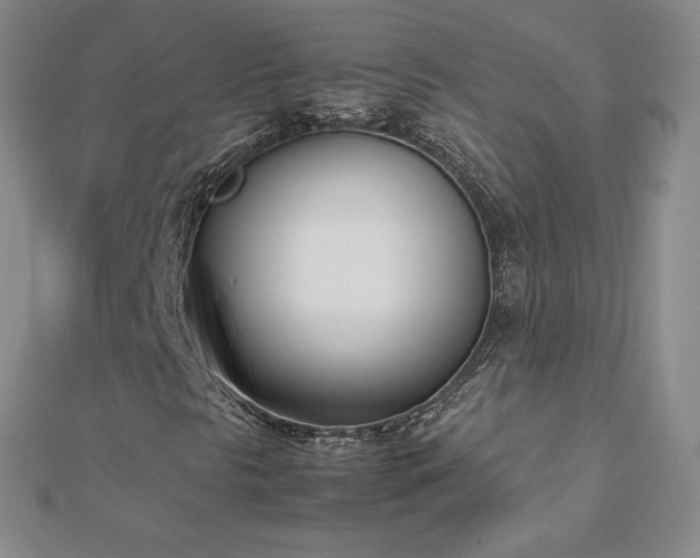 X0000112871297200908281616