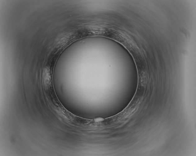 X0000112871298200908281616