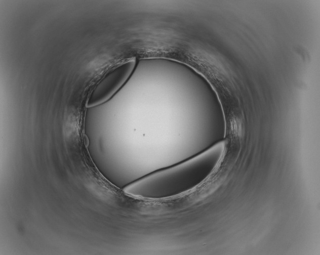 X0000112871300200908281616