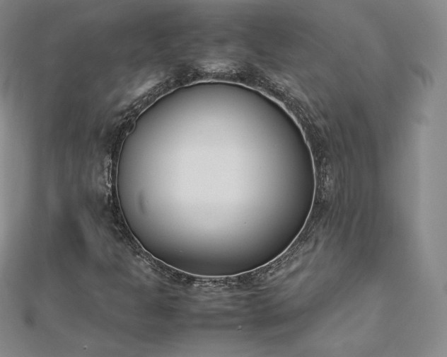 X0000112871301200908281616