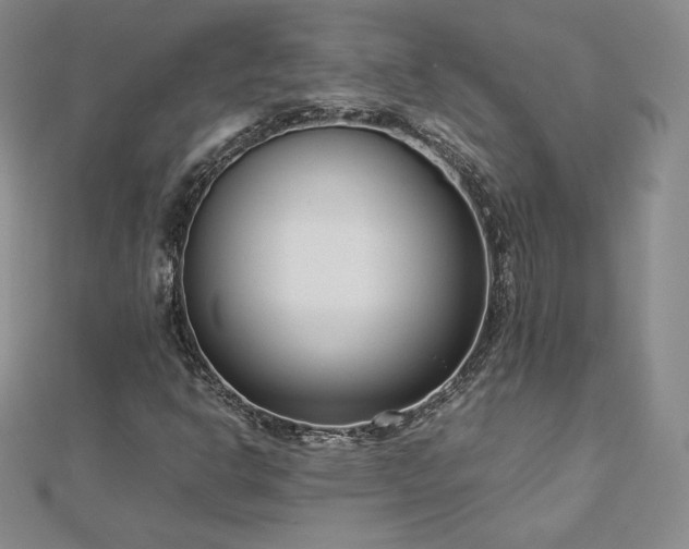 X0000112871302200908281616