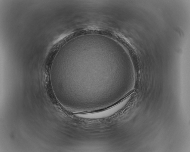 X0000112871303200908281616