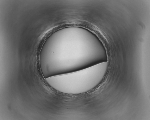 X0000112871304200908281616