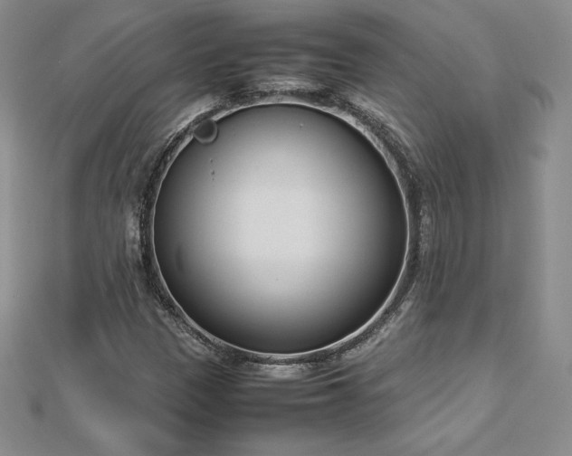 X0000112871305200908281616