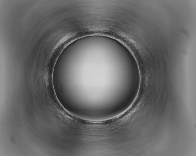 X0000112871306200908281616