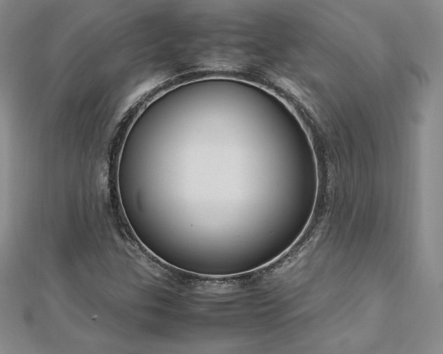 X0000112871307200908281616