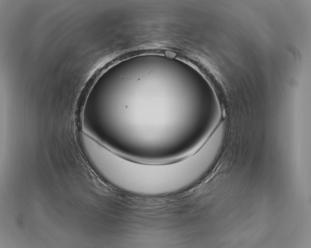 X0000112871308200908281616