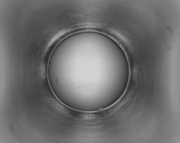 X0000112871310200908281616