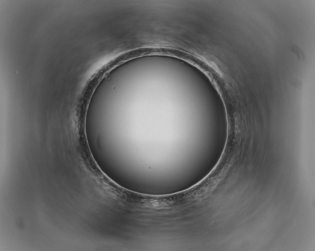 X0000112871311200908281616