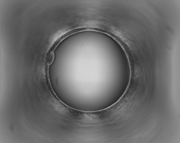 X0000112871312200908281616