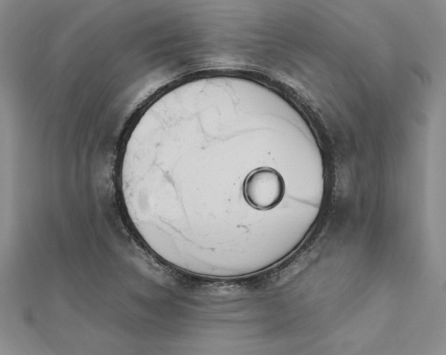 X0000112871314200908281616