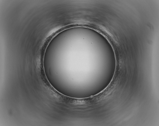 X0000112871315200908281616