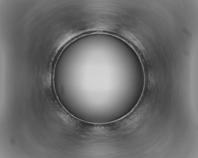 X0000112871316200908281616