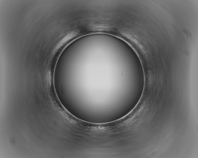 X0000112871317200908281616