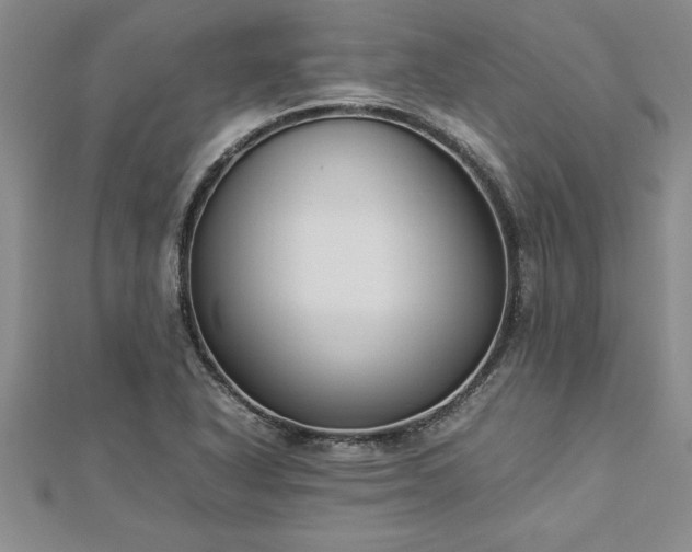 X0000112871318200908281616