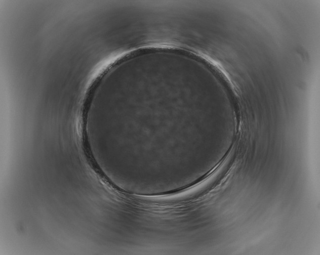 X0000112871319200908281616