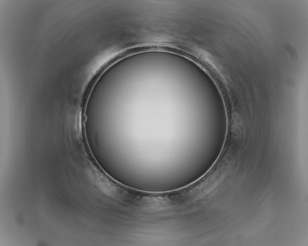 X0000112871320200908281616