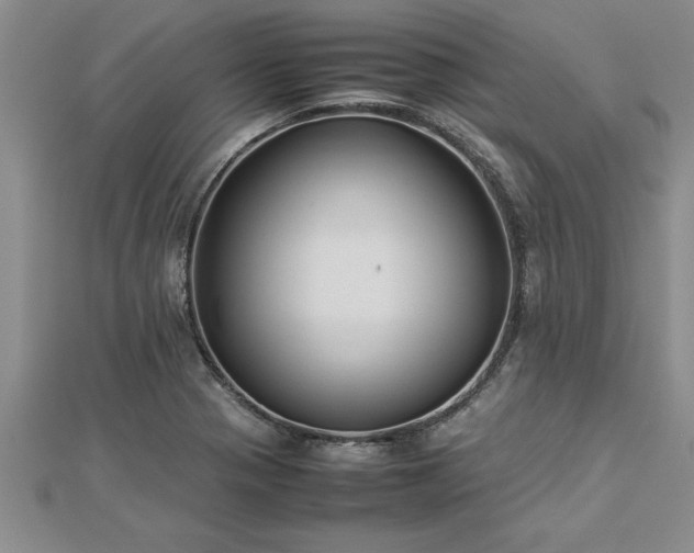 X0000112871321200908281616