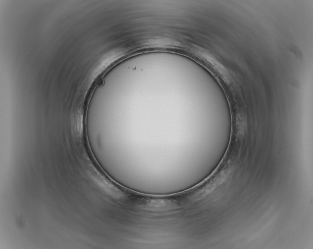 X0000112871322200908281616