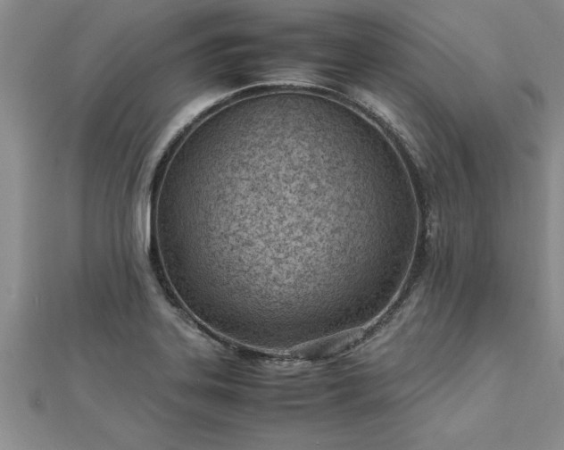 X0000112871323200908281616