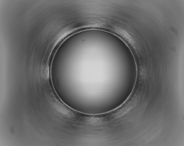 X0000112871324200908281616