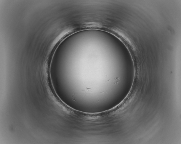 X0000112871325200908281617