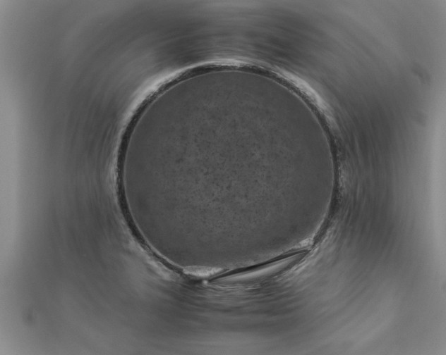 X0000112871327200908281617