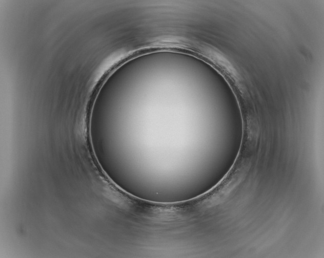 X0000112871328200908281617