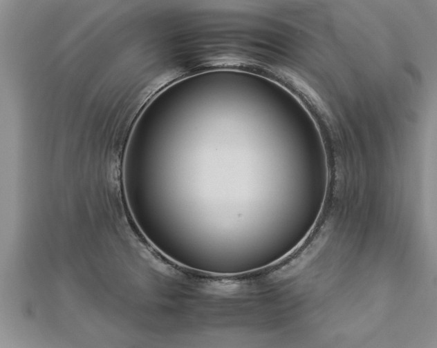 X0000112871329200908281617