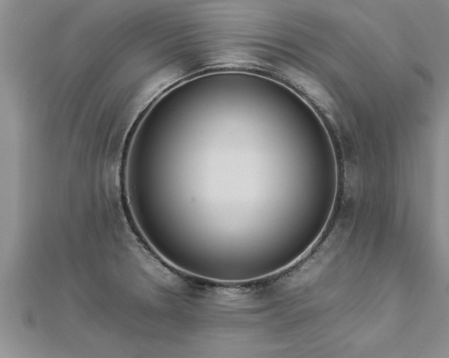 X0000112871330200908281617