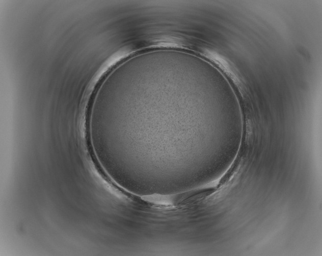 X0000112871331200908281617