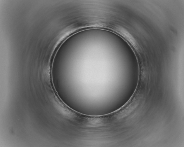 X0000112871332200908281617