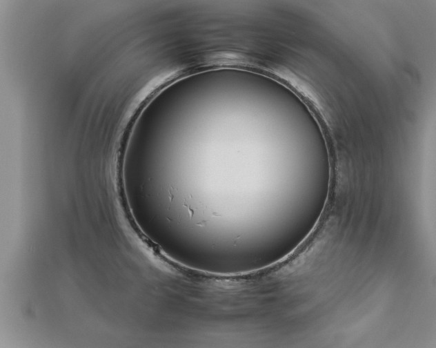 X0000112871333200908281617