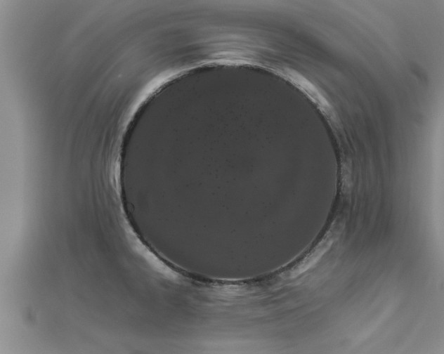 X0000112871334200908281617