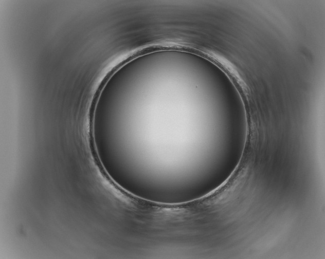 X0000112871335200908281617