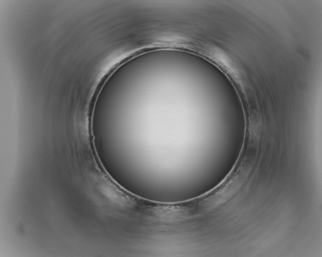 X0000112871336200908281617