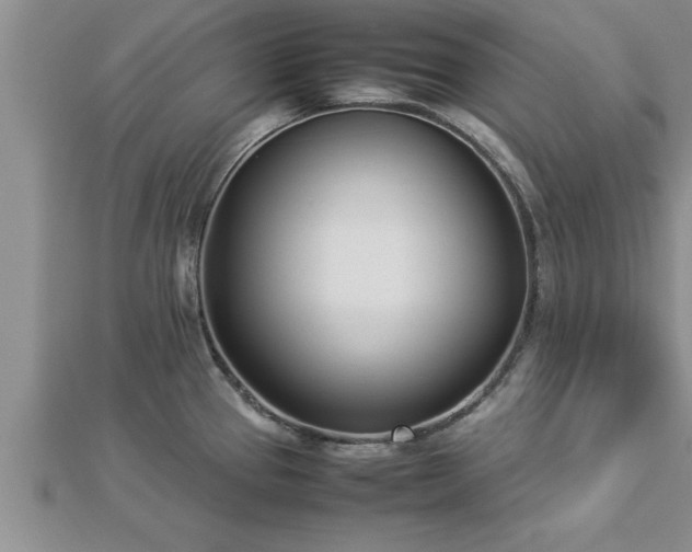 X0000112871337200908281617