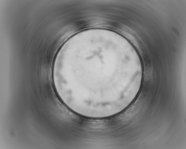 X0000112871338200908281617