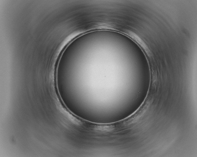 X0000112871339200908281617