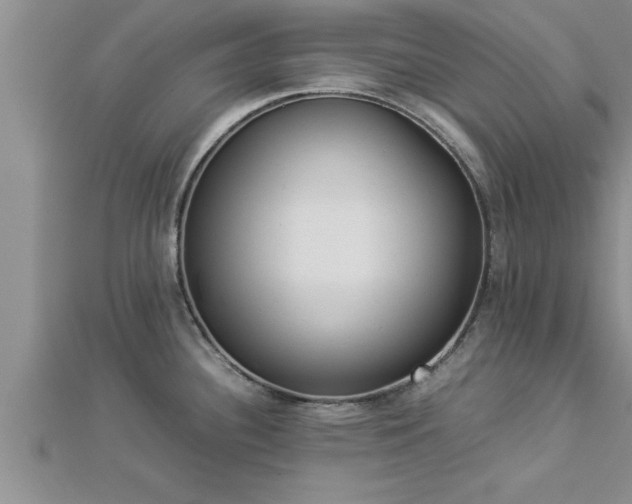 X0000112871340200908281617