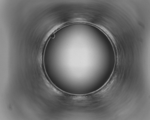 X0000112871341200908281617