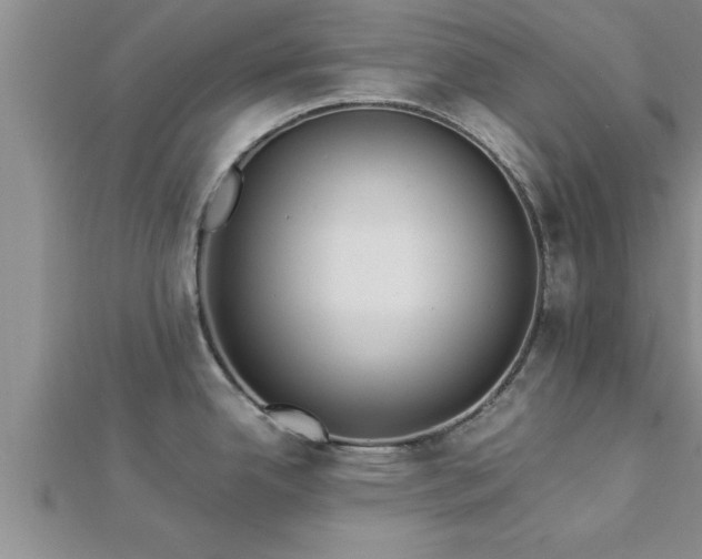 X0000112871342200908281617