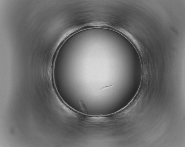 X0000112871343200908281617