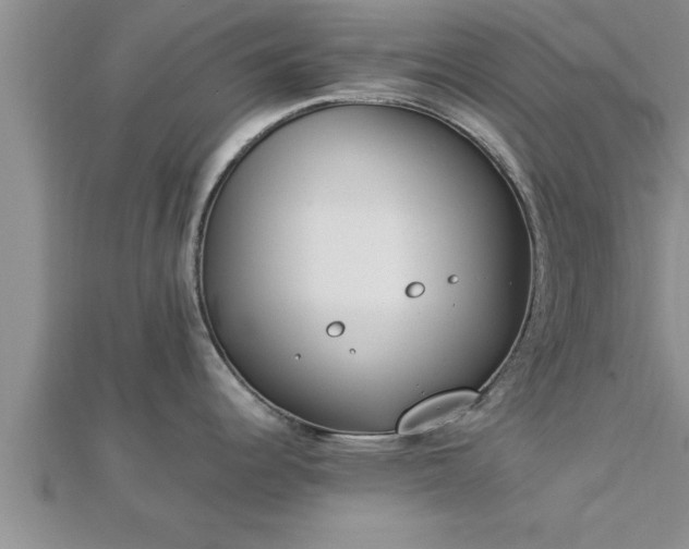 X0000112871344200908281617