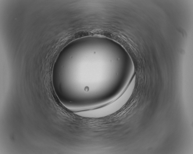 X0000112871345200908281616