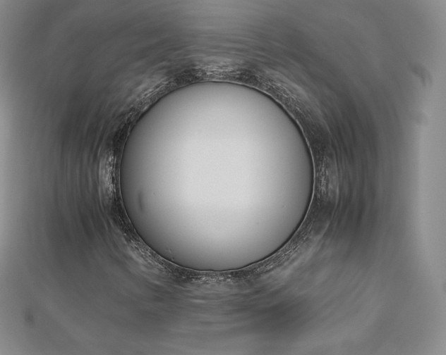 X0000112871346200908281616