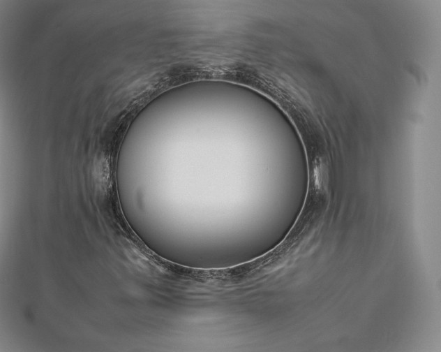 X0000112871347200908281616