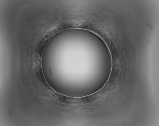 X0000112871349200908281616