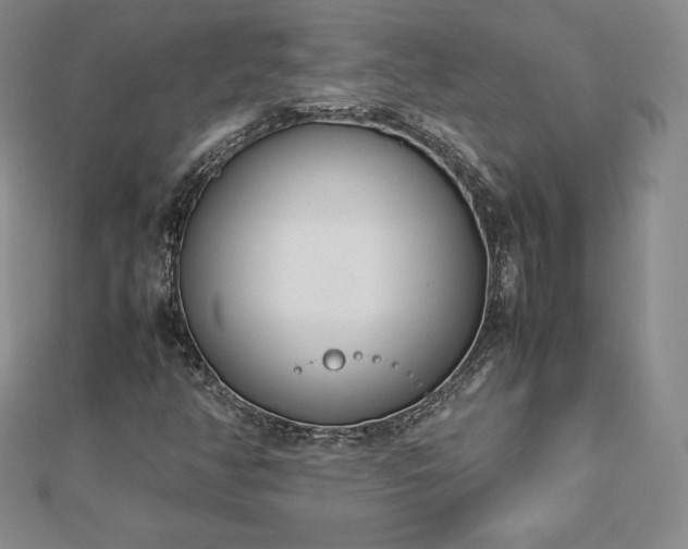 X0000112871350200908281616