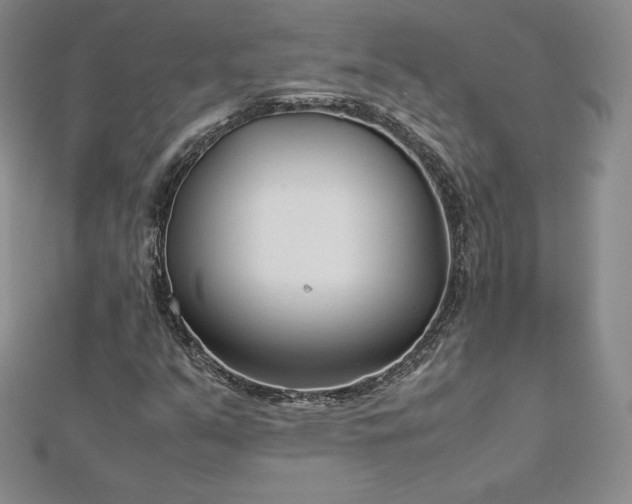 X0000112871351200908281616